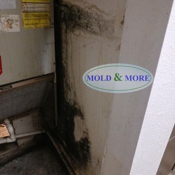 Mold & More - Damage Restoration Near Me - Sugar Hill, Georgia Mold & More - Damage Restoration Near Me - Sugar Hill, Georgia