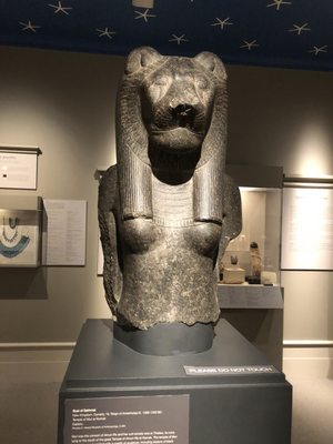 Albany Institute of History & Art by null