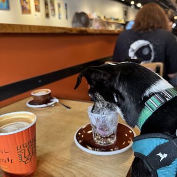 OZO Coffee - Coffee & Tea Near Me - Boulder, Colorado