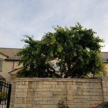 All About Cuts - Landscaping Near Me - Chatsworth , California