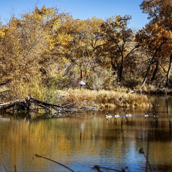 Paseo del Bosque Trail - Pond - Hiking Near Me - Albuquerque, New Mexico Paseo del Bosque Trail - Pond - Hiking Near Me - Albuquerque, New Mexico
