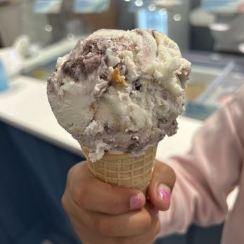 Bluejays Ice Cream And Candy - Blueberry cheesecake - Ice Cream & Frozen Yogurt Near Me - Ashland, Nebraska Bluejays Ice Cream And Candy - Blueberry cheesecake - Ice Cream & Frozen Yogurt Near Me - Ashland, Nebraska