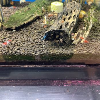 Blakes Aqua Den - Local Fish Stores Near Me - Wallingford, Connecticut