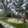 Photo of Lakewood Trees