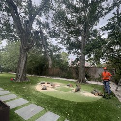 Lakewood Trees - Lakewood Trees 2024 in business since 2007