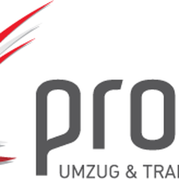 Umzug Wien Pro - Traiskirchen