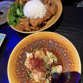 The Blue Dragon - Spicy oil dumplings and orange chicken - Pan Asian Near Me - Orlando, Florida The Blue Dragon - Spicy oil dumplings and orange chicken - Pan Asian Near Me - Orlando, Florida