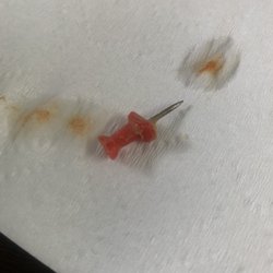 Found in received beans