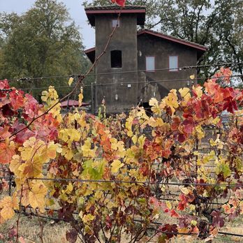 Gracianna Winery - Fall in the vineyards - Wine Tasting Room Near Me - Healdsburg, California