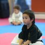 Photo of Tiger's Eye Karate-Do