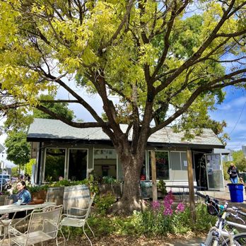 Brew - Lovely parklet for dining - Cafes Near Me - Santa Rosa, California Brew - Lovely parklet for dining - Cafes Near Me - Santa Rosa, California