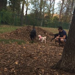 Schappacher Park Dog Run