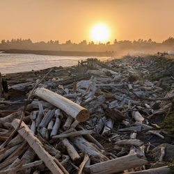 Beachfront Rv Park