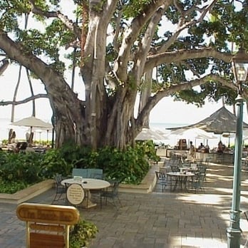 The Beach Bar - Bars Near Me - Honolulu, Hawaii The Beach Bar - Bars Near Me - Honolulu, Hawaii