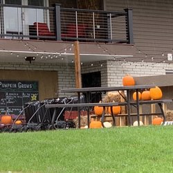 Yenser Tree Farm