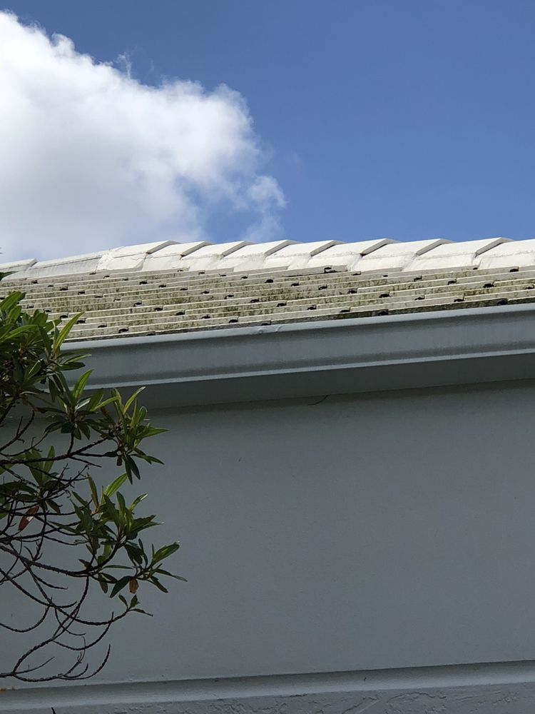 Slide of Fiddler Roof Cleaning