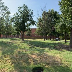 Park Central - Grassy field and trees in the center of the park.