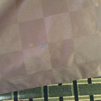 Best Western Executive Inn - Mold on bed spread - Hotels Near Me - Cairo, Georgia Best Western Executive Inn - Mold on bed spread - Hotels Near Me - Cairo, Georgia