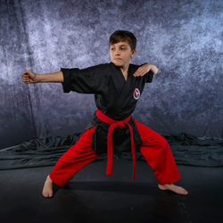 Joey Perry Martial Arts Academy - Jonesboro Karate is for everyone! Joey Perry Martial Arts for Kids, Adults and Teens.