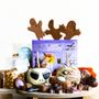 Photo of Bluebirds Chocolate