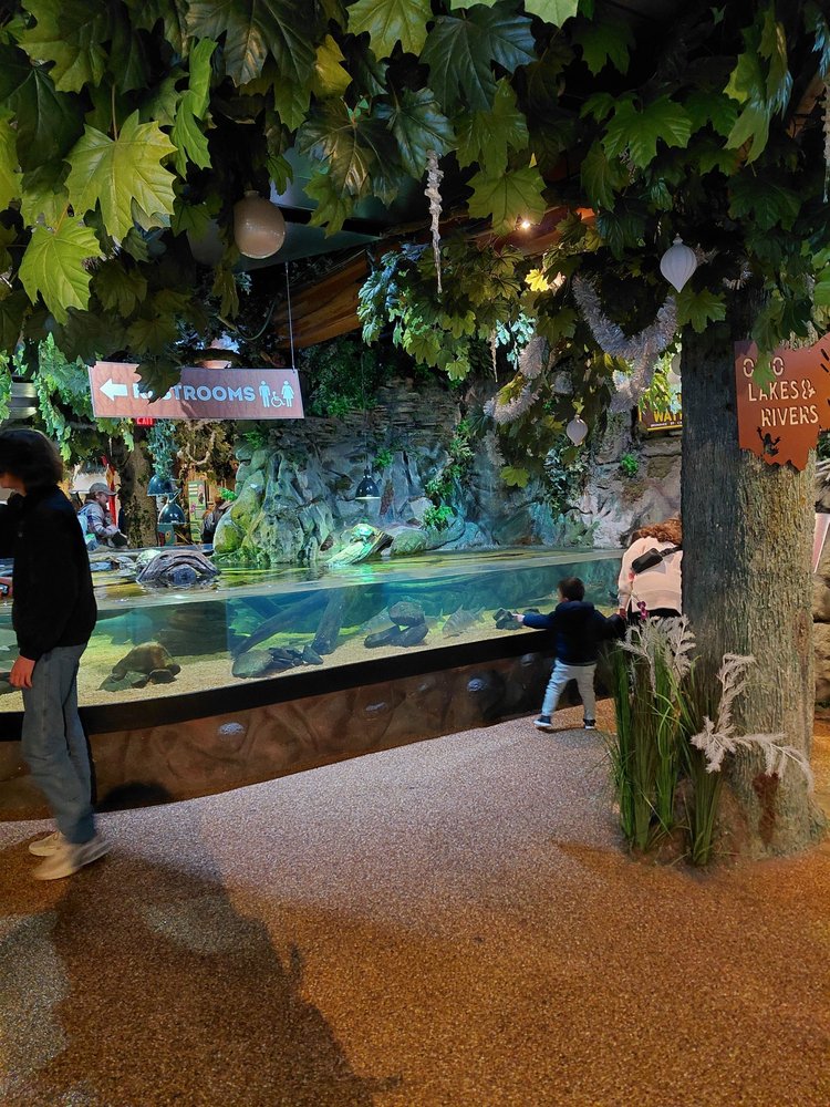 Greater Cleveland Aquarium - wedding in Cleveland, OH