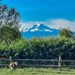 Grandview Off Leash Park