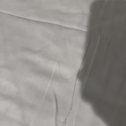 Hair on the bed sheets