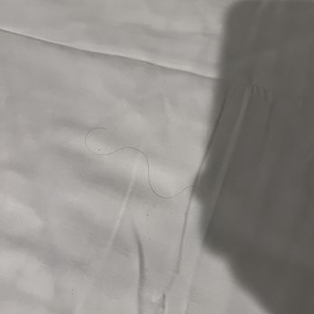 Hotel elev8 - Hair on the bed sheets - Hotels Near Me - Flagstaff, Arizona