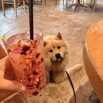 Marelle - New American Near Me - Santa Monica, California