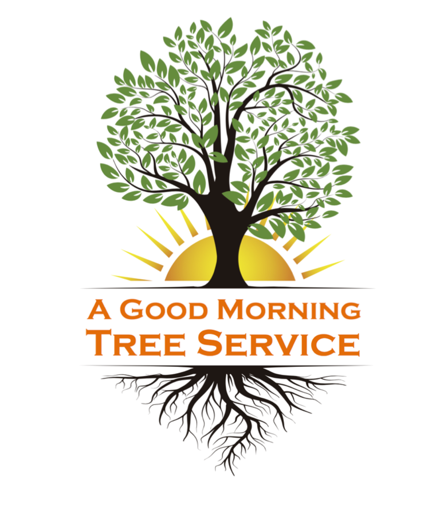 A Good Morning Tree Service - veterans service organization in Austin, TX