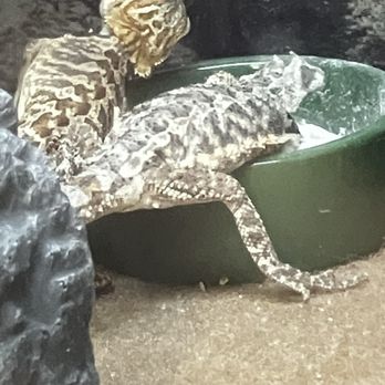 Petco - They hate each other and they have to sleep while touching each other - Pet Stores Near Me - Elk Grove, California Petco - They hate each other and they have to sleep while touching each other - Pet Stores Near Me - Elk Grove, California