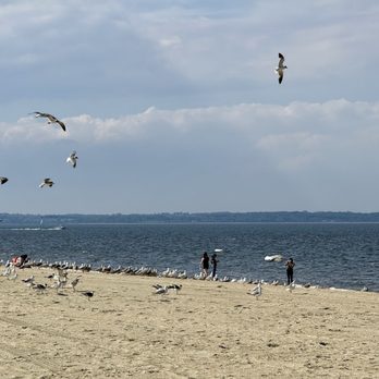 Union Beach - Libraries Near Me - Union Beach, New Jersey Union Beach - Libraries Near Me - Union Beach, New Jersey