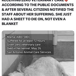 City of San Antonio Animal Care Services