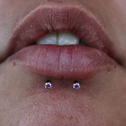 The Piercing Bar - A fresh pair of dolphin bites!