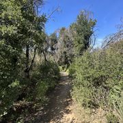 Photo of Escondido Canyon Park - Malibu, CA, United States