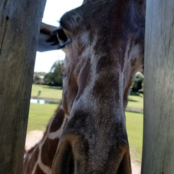 Montgomery Zoo - Zoos Near Me - Montgomery, Alabama