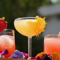 So Divine Catering - Cocktails