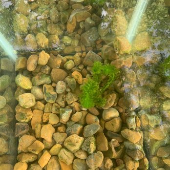 360 Aquatic - Local Fish Stores Near Me - Houston, Texas