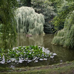 Stadtpark Steglitz