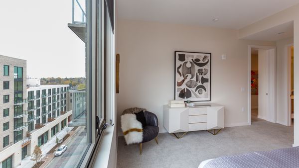 St Paul Collection by null