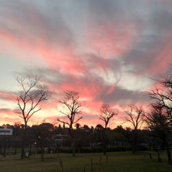 Paraná y el Río - Sunset