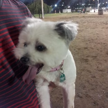 Costa Mesa Bark Park - My baby is tired! - Dog Parks Near Me - Costa Mesa, California Costa Mesa Bark Park - My baby is tired! - Dog Parks Near Me - Costa Mesa, California