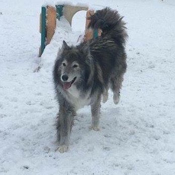 Creekside Resort - Pet Sitting Near Me - Walworth, New York