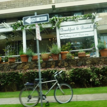 Cream Pot - Breakfast & Brunch Near Me - Honolulu, Hawaii Cream Pot - Breakfast & Brunch Near Me - Honolulu, Hawaii