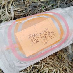 Dunkin' - Dunkin on Central Rd - Dunkin's Dumping Ground.