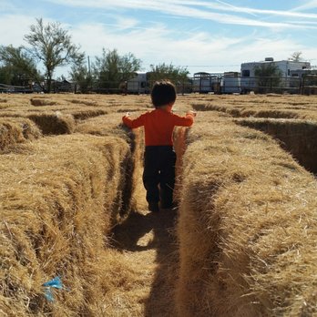 MacDonald's Ranch - Hay maze - Horseback Riding Near Me - Scottsdale, Arizona