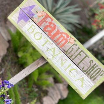 Morning Glory Cafe - Breakfast & Brunch Near Me - Phoenix, Arizona