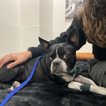 VEG ER for Pets - Emergency Pet Hospital Near Me - San Diego, California VEG ER for Pets - Emergency Pet Hospital Near Me - San Diego, California