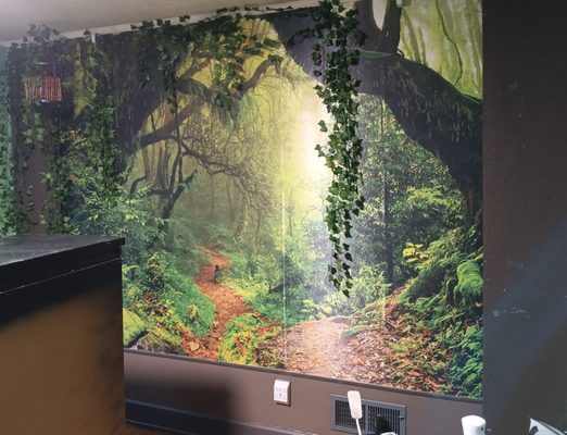 Johnstons All Around