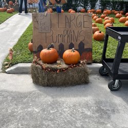 East Coast Farms and Vegetables - Cute fall display